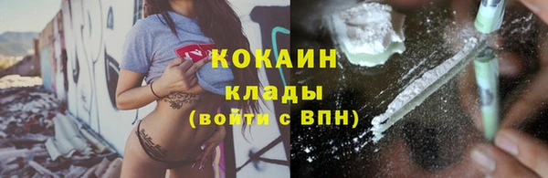 стафф Зеленокумск