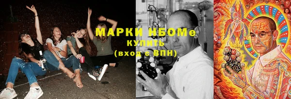 стафф Зеленокумск