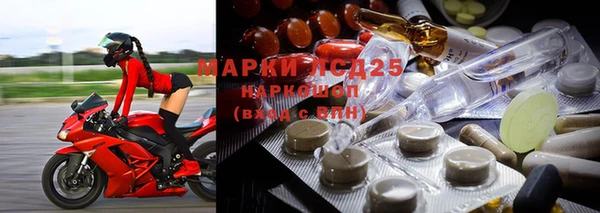 стафф Зеленокумск