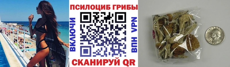 Купить где  Серафимович  Псилоцибиновые грибы MAGIC MUSHROOMS 
